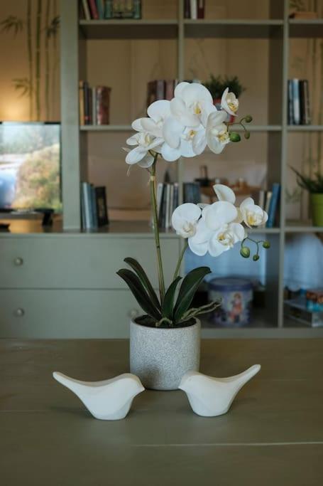 Apartment With Garden In Thessaloniki. 외부 사진